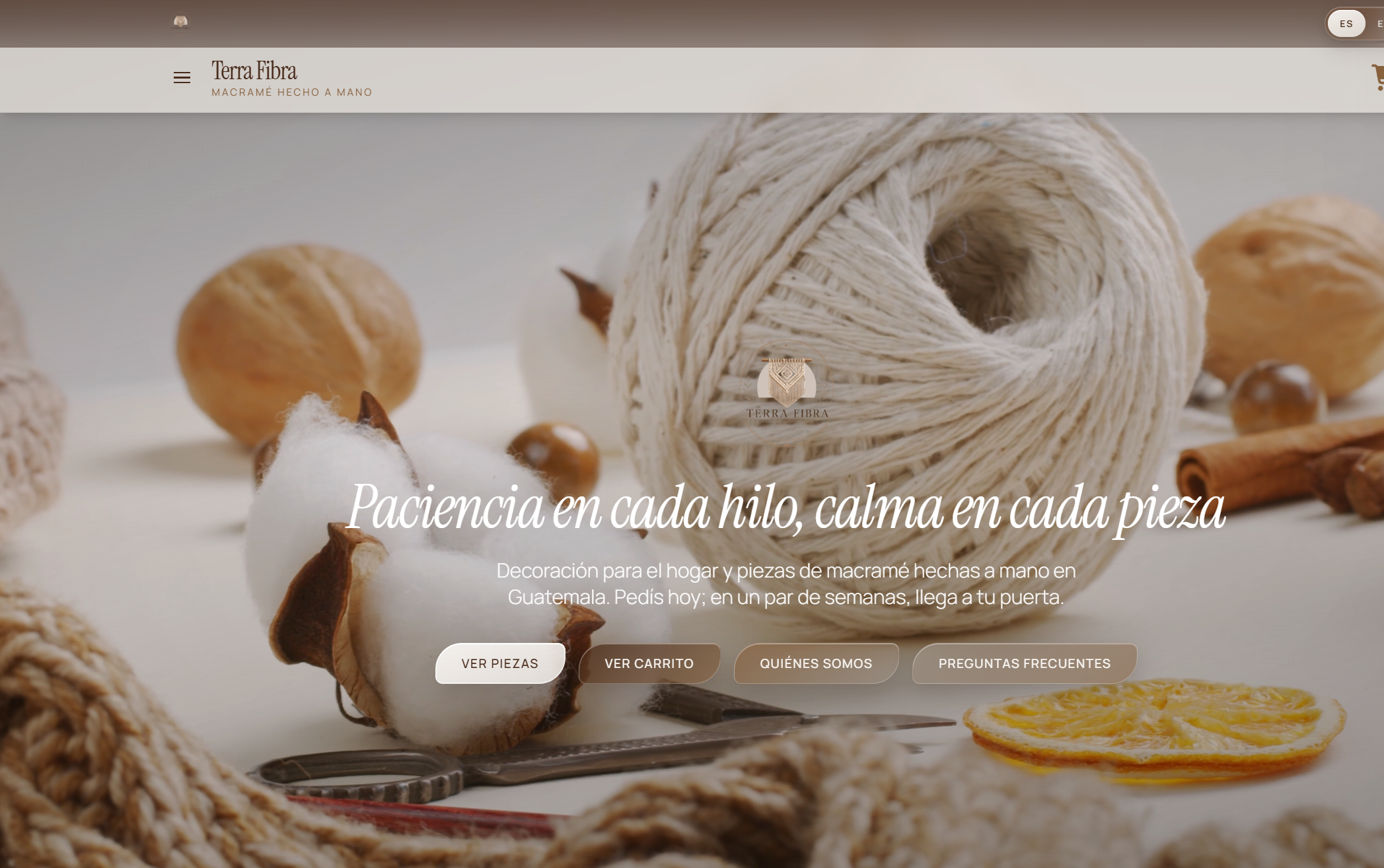 Terra Fibra Website